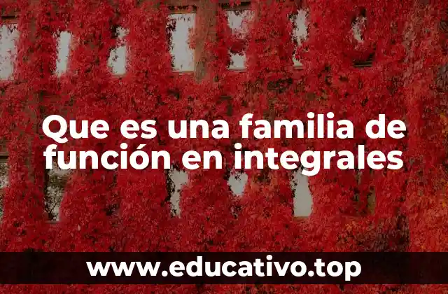 Que es una familia de función en integrales