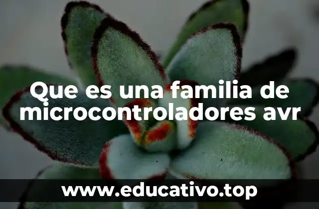 Que es una familia de microcontroladores avr