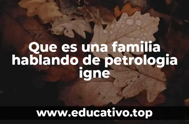 Que es una familia hablando de petrologia igne