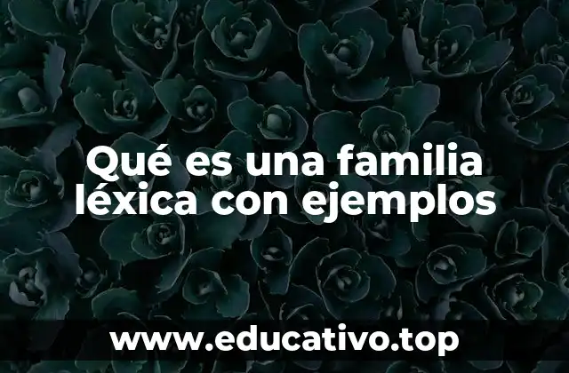 Qué es una familia léxica con ejemplos
