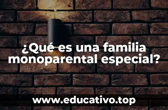 ¿Qué es una familia monoparental especial?