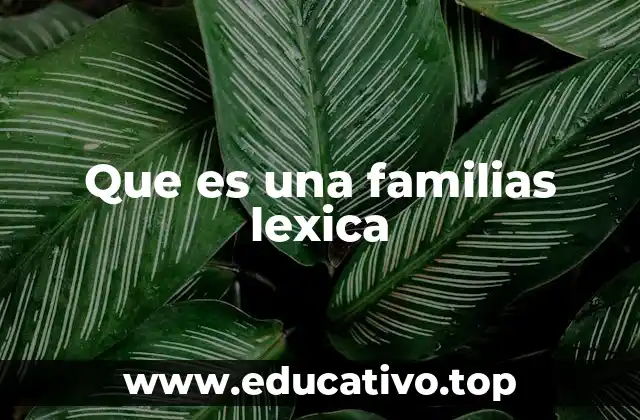 Que es una familias lexica