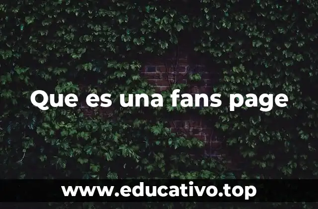 Que es una fans page