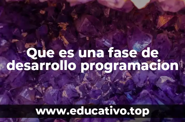 Que es una fase de desarrollo programacion