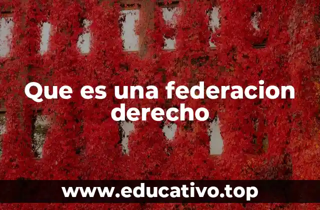 Que es una federacion derecho