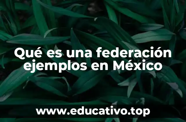 Qué es una federación ejemplos en México