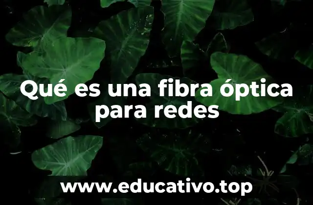 Qué es una fibra óptica para redes