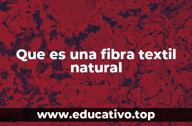 Que es una fibra textil natural
