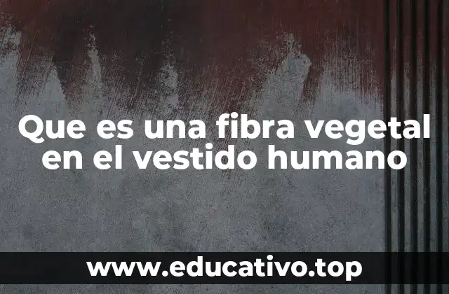 Que es una fibra vegetal en el vestido humano