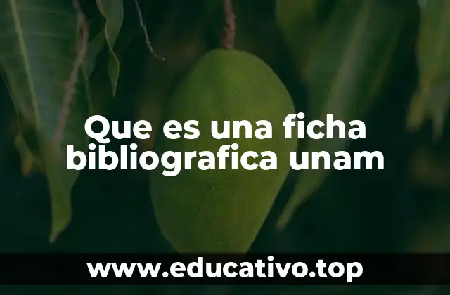 Que es una ficha bibliografica unam