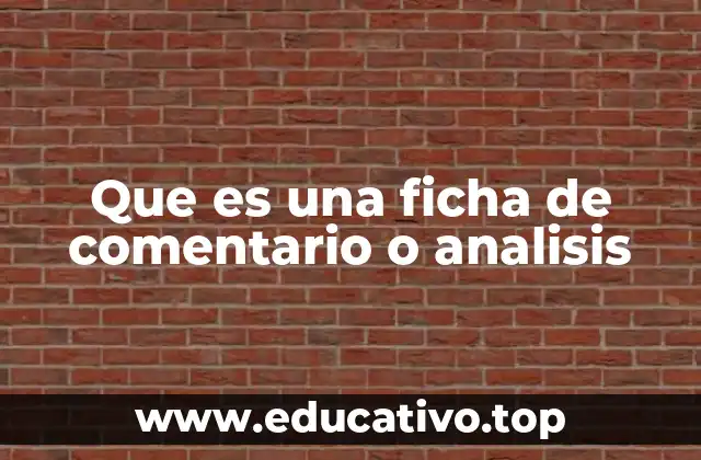 Que es una ficha de comentario o analisis
