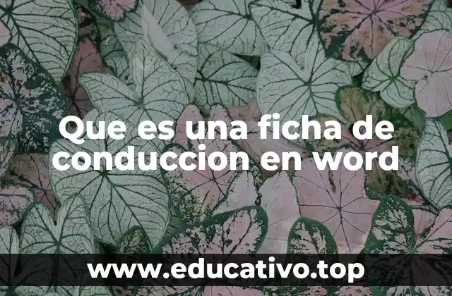 Que es una ficha de conduccion en word