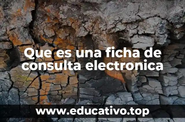 Que es una ficha de consulta electronica
