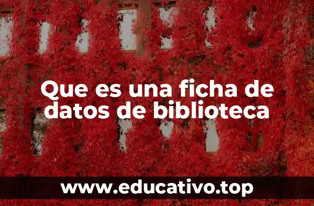 Que es una ficha de datos de biblioteca