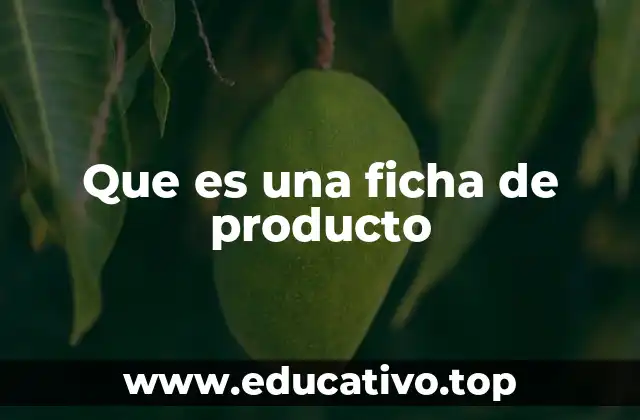 La importancia de una ficha de producto en el marketing digital