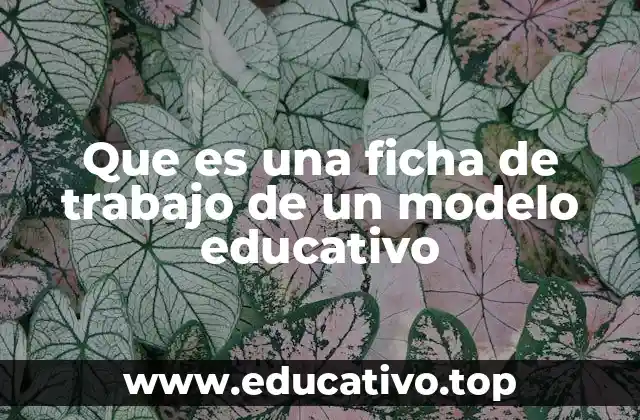 Que es una ficha de trabajo de un modelo educativo