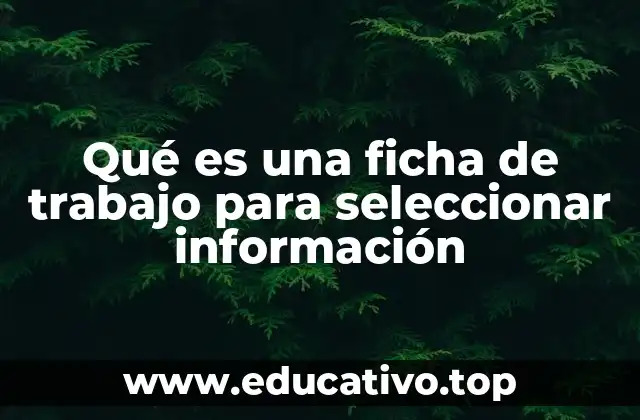 Qué es una ficha de trabajo para seleccionar información