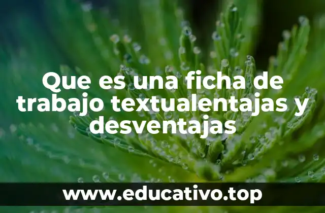 Que es una ficha de trabajo textualentajas y desventajas