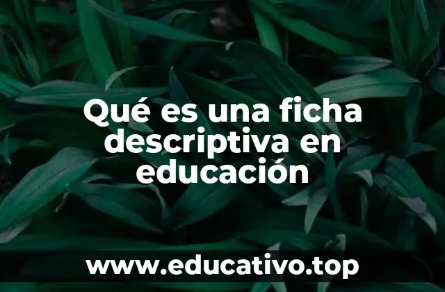 Qué es una ficha descriptiva en educación
