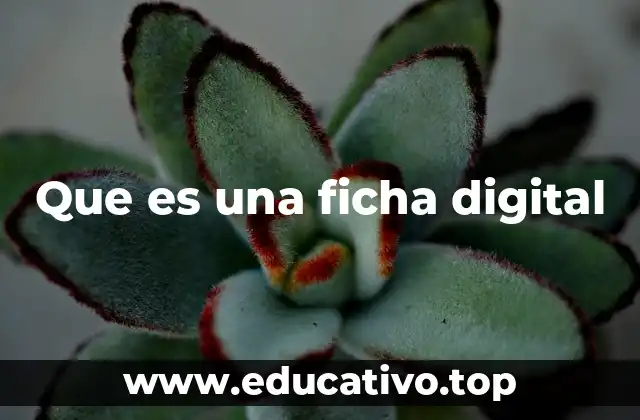 Que es una ficha digital