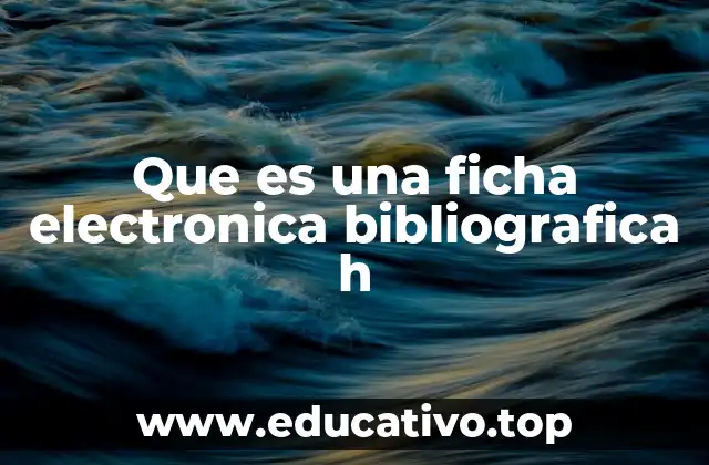 Que es una ficha electronica bibliografica h