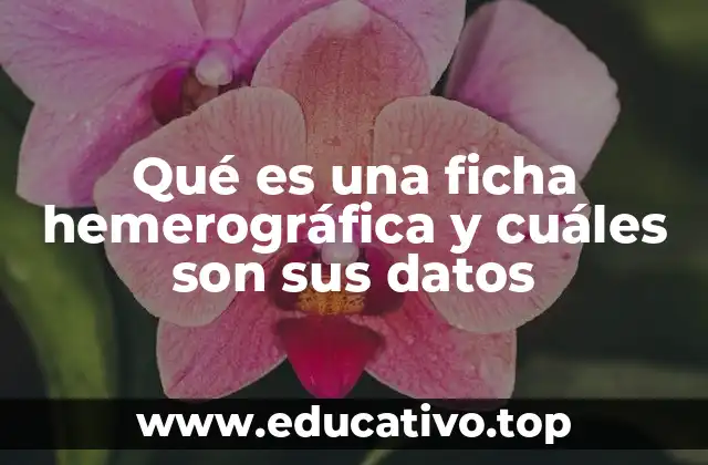 Qué es una ficha hemerográfica y cuáles son sus datos