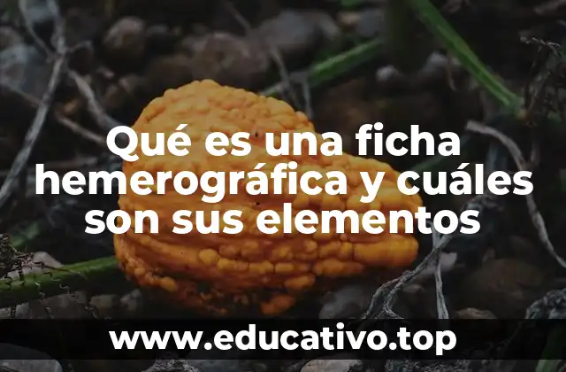 Qué es una ficha hemerográfica y cuáles son sus elementos