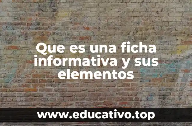 Que es una ficha informativa y sus elementos