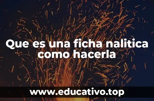 Que es una ficha nalitica como hacerla