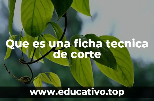 Que es una ficha tecnica de corte