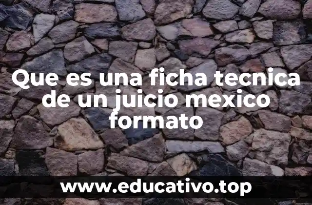 Que es una ficha tecnica de un juicio mexico formato