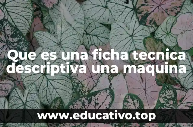 La importancia de contar con información técnica precisa