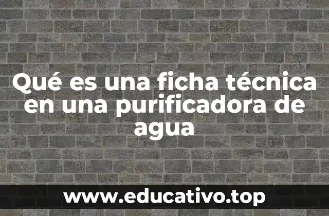 La importancia de conocer los datos técnicos antes de comprar una purificadora de agua