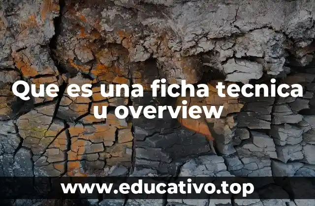 Que es una ficha tecnica u overview