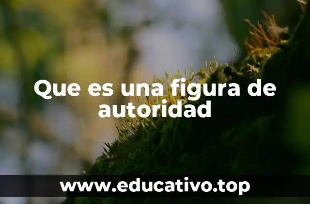Que es una figura de autoridad