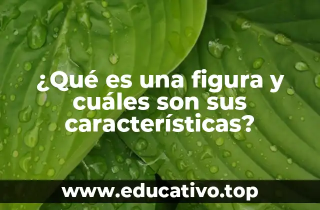 ¿Qué es una figura y cuáles son sus características?