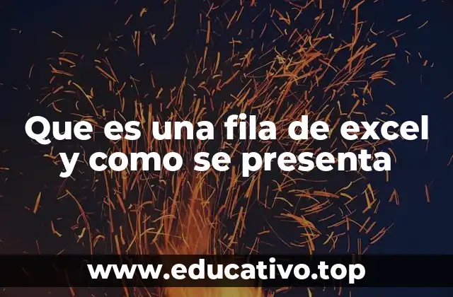 Que es una fila de excel y como se presenta