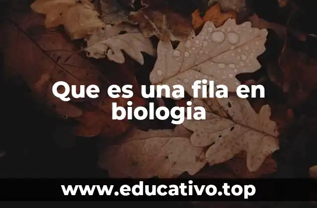 Que es una fila en biologia