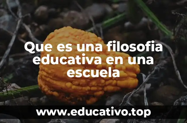 Que es una filosofia educativa en una escuela