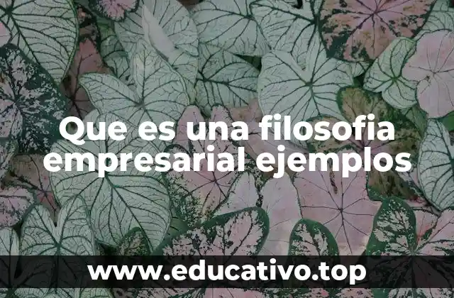 Que es una filosofia empresarial ejemplos