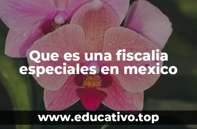 Que es una fiscalia especiales en mexico