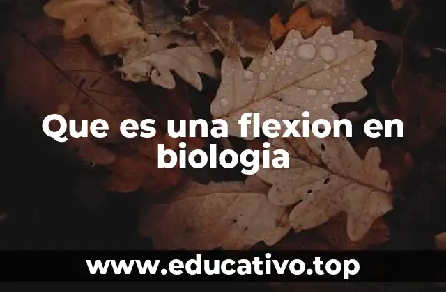 Que es una flexion en biologia