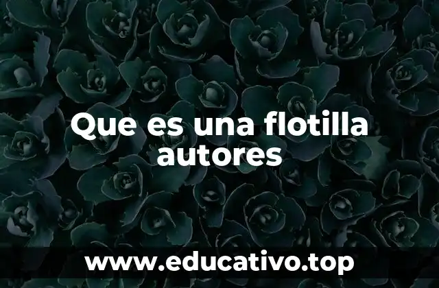 Que es una flotilla autores