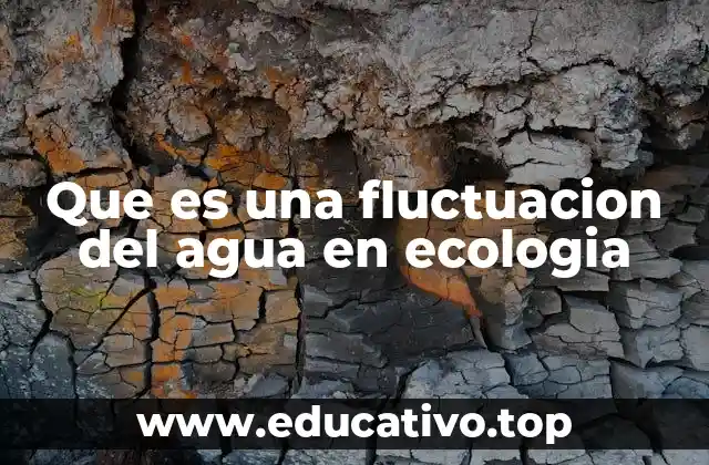 Que es una fluctuacion del agua en ecologia