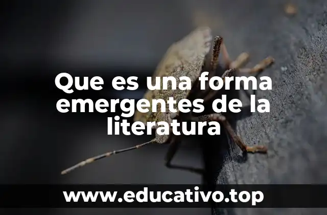 Que es una forma emergentes de la literatura