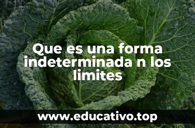 Que es una forma indeterminada n los limites