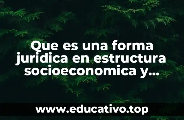 Que es una forma juridica en estructura socioeconomica y politica