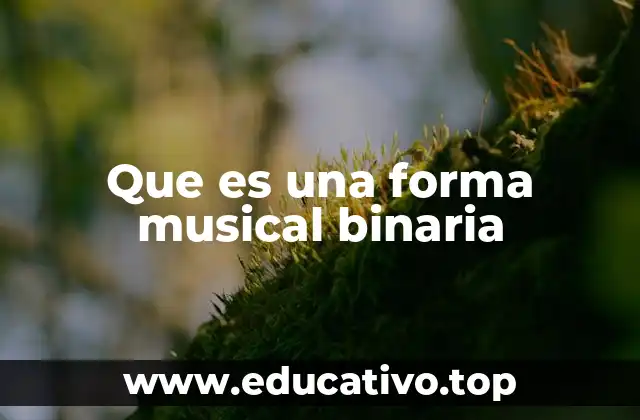 Que es una forma musical binaria