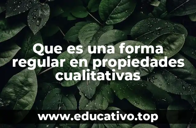 Que es una forma regular en propiedades cualitativas