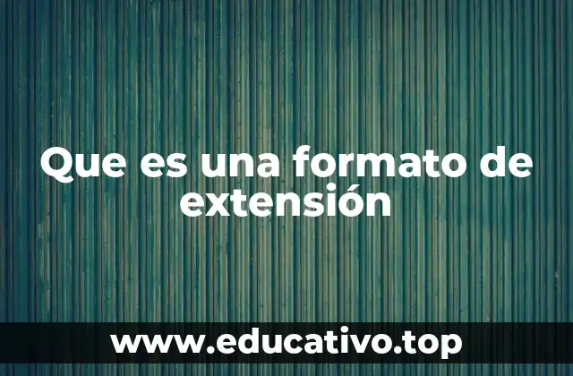 Que es una formato de extensión